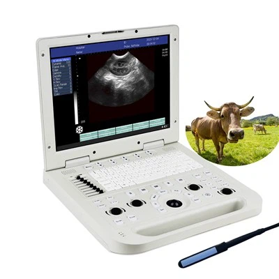 Apakah keadaan kecemasan biasa yang didiagnosis oleh ultrasound veterinar?